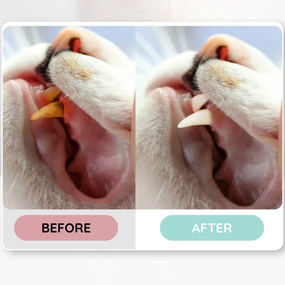 PurrfectSmile - Feline Dental Kit - Pooki Pets Shop
