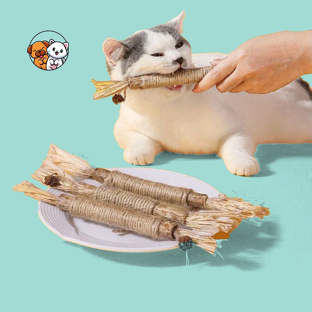 PurrfectSmile - Feline Dental Kit - Pooki Pets Shop