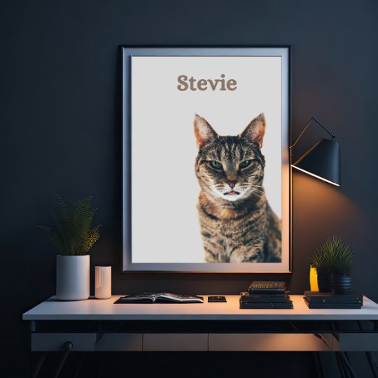 Custom Pet Portraits - Digital Print & Canvas - Pooki Pets Shop