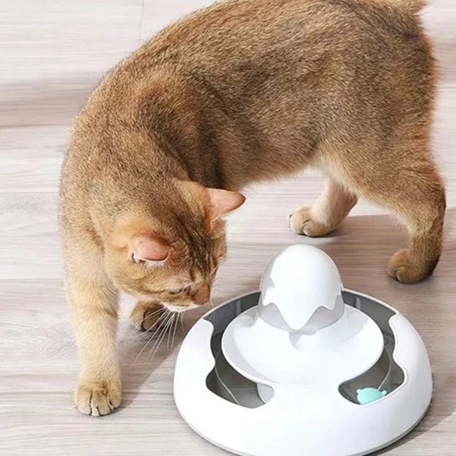 TreatBop - Interactive Treat Dispensing Cat Toy - Pooki Pets Shop